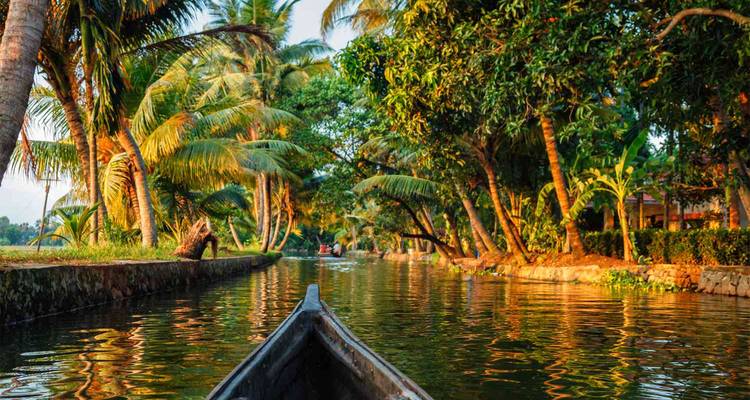 Vue sereine d'un canal avec une végétation luxuriante et des cocotiers.