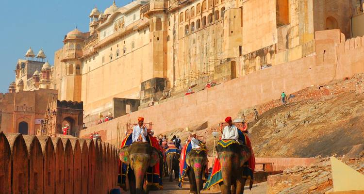 Olifanten die toeristen dragen voor Amber Fort.