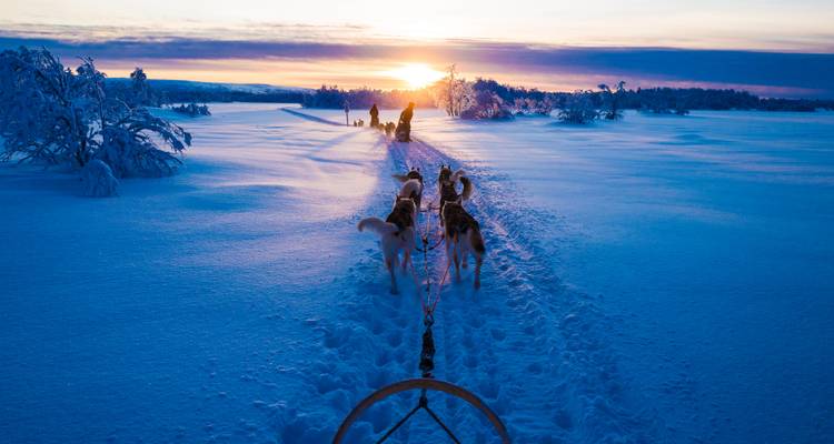 Équipe de traîneau à chiens se déplaçant à travers un paysage enneigé au coucher du soleil.