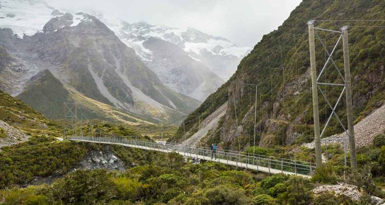 Pont suspendu avec forêt dense et montagnes.