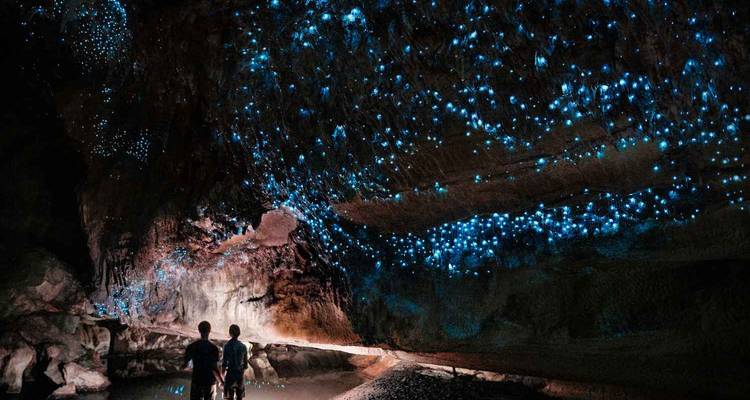 Grotte aux vers luisants avec plafonds illuminés et reflet dans l'eau.