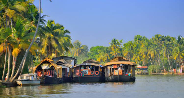 Plusieurs péniches d'habitation le long d'un canal bordé de palmiers au Kerala.