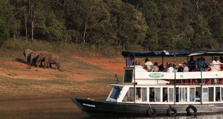 Excursion en bateau près des éléphants dans une réserve naturelle.