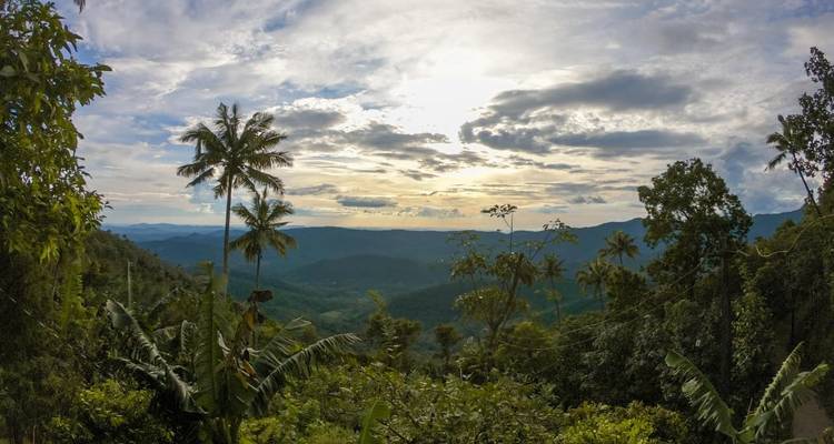 Vue pittoresque de collines et de forêt sous un ciel nuageux.