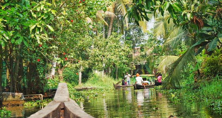 Des gens ramant dans des bateaux sur un canal étroit entouré d'une végétation luxuriante.