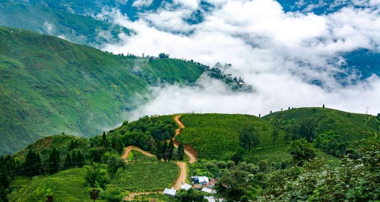 Des collines verdoyantes avec du brouillard qui roule par-dessus et une route sinueuse.
