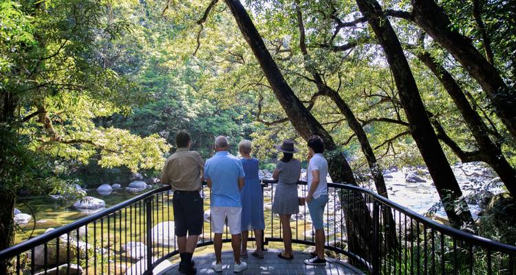 Personas caminando por un paseo marítimo a través de un frondoso bosque.