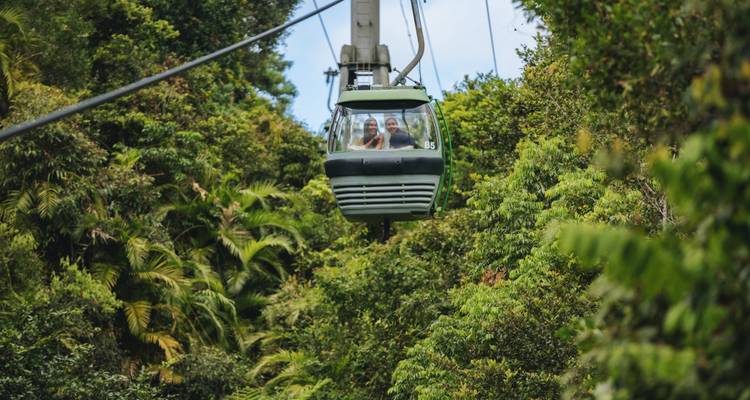Vista de un teleférico moviéndose a través de un bosque denso.