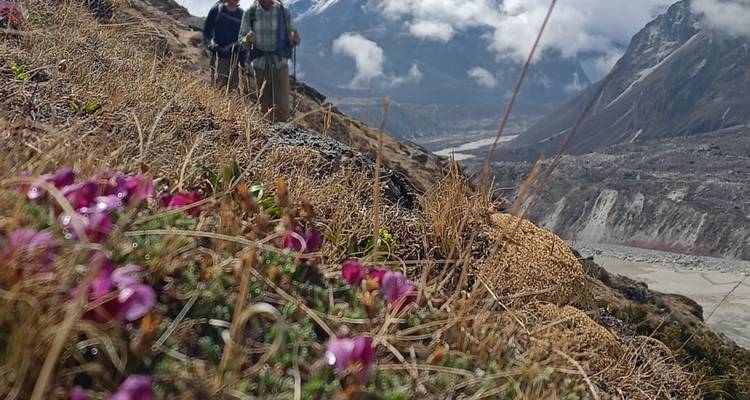 Two hikers walking along a mountain trail with flowers in the foreground.