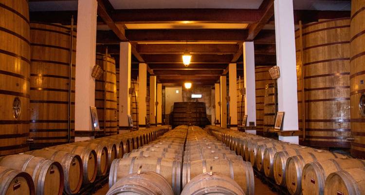 Interior of a winery with barrels in rows.