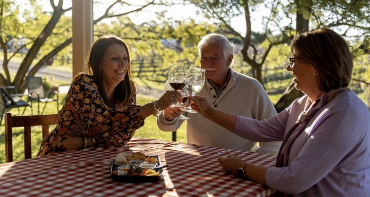 Un groupe de personnes portant un toast avec des verres de vin dans un vignoble.