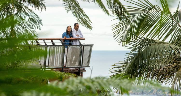 Pareja de pie en una plataforma de observación en la copa de los árboles enmarcada por exuberante follaje con vista a la costa