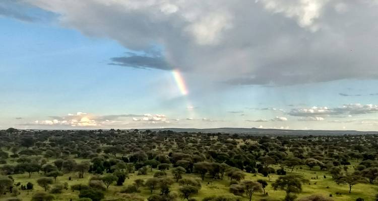 Paysage de savane avec arc-en-ciel dans un ciel nuageux.