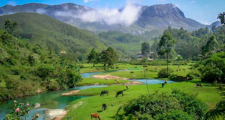 Lush green valley with cows and a river running through.
