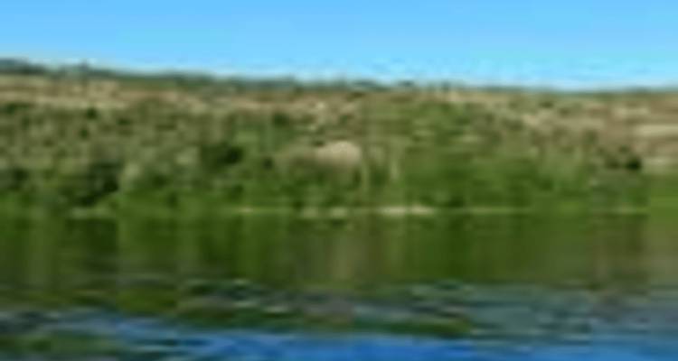 Image floue d'un lac entouré de verdure.