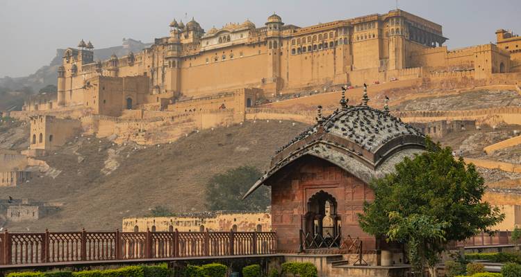 A scenic view of Amber Fort with lush greenery in the foreground.