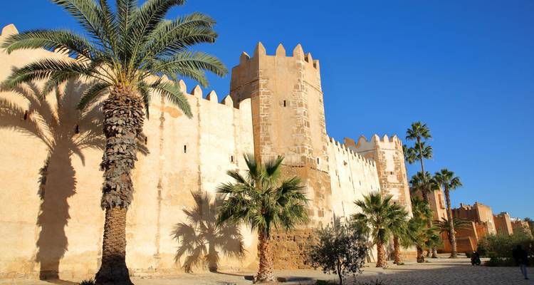 Historic city walls with palm trees and a blue sky.