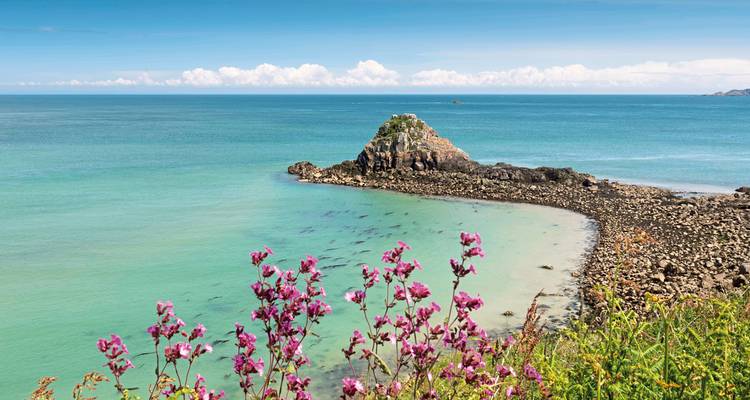 Coastal view with flowers in the foreground.