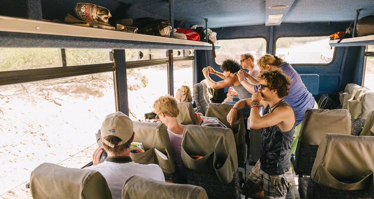 Touristes à l'intérieur d'un van de safari prenant des photos.