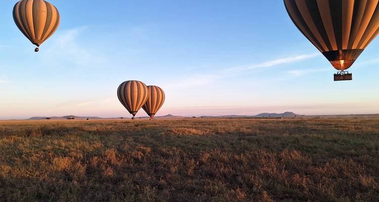 Montgolfières au-dessus d'une savane au lever du soleil.