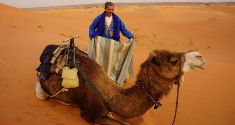 Homme avec un chameau dans le désert.