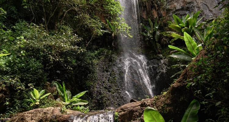 Cascada cayendo por una pendiente rocosa rodeada de exuberante vegetación.