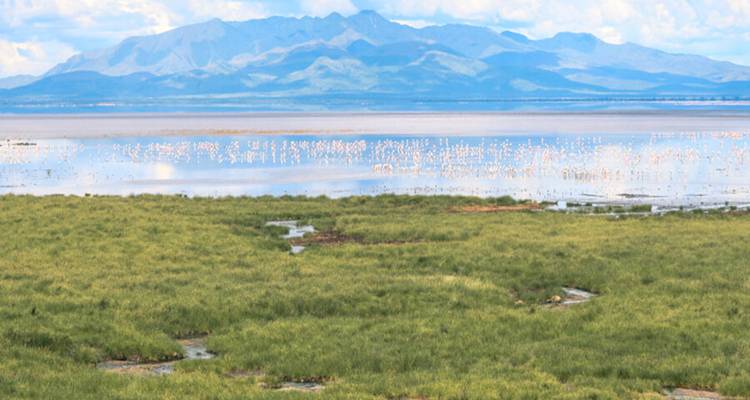 Expansive wetland area with distant mountains.