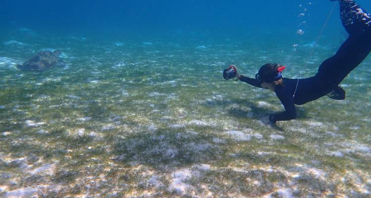 Personne faisant de la plongée avec tuba près du fond océanique avec une tortue distante en vue.