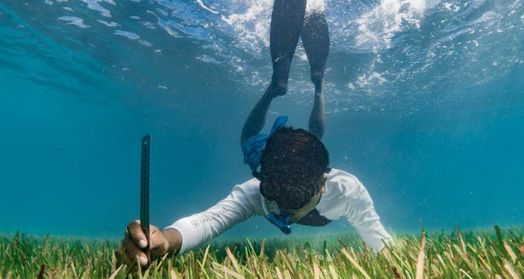 Personne effectuant des recherches sous-marines avec un instrument de mesure.