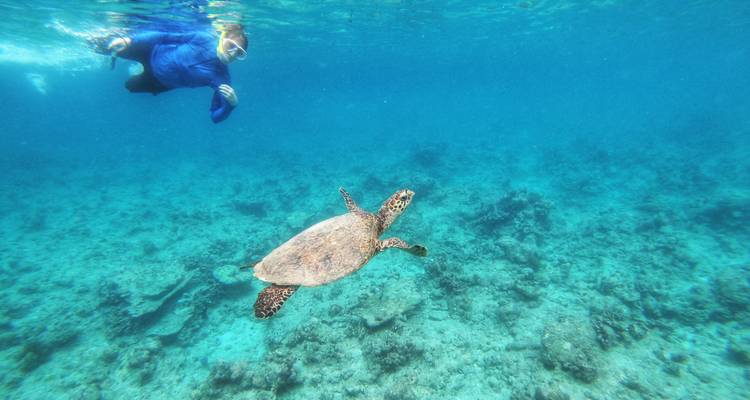 Personne nageant au-dessus d'une tortue dans des eaux bleues claires.