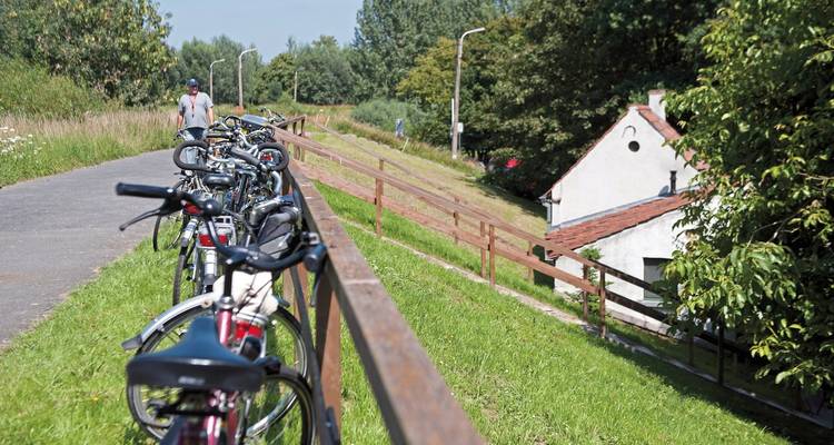 Fila de bicicletas estacionadas a lo largo de un sendero con césped.