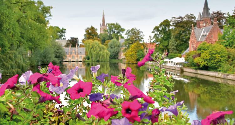 Flores coloridas con un río y edificios históricos en el fondo.