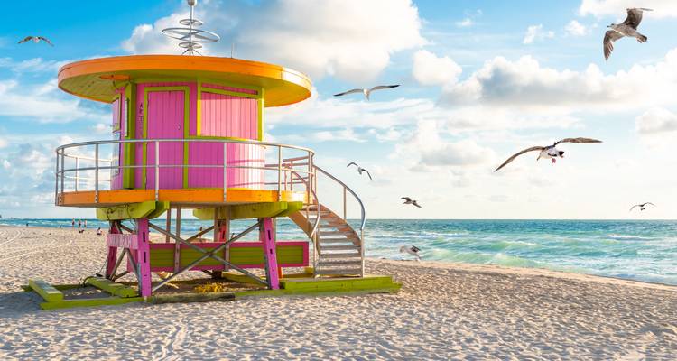 Kleurrijke reddingstoren op een strand met meeuwen