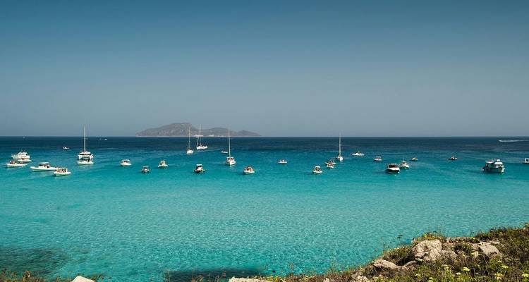 Dutzende kleine Boote, die auf kristallklarem, türkisfarbenem Wasser in der Nähe von Favignana treiben.