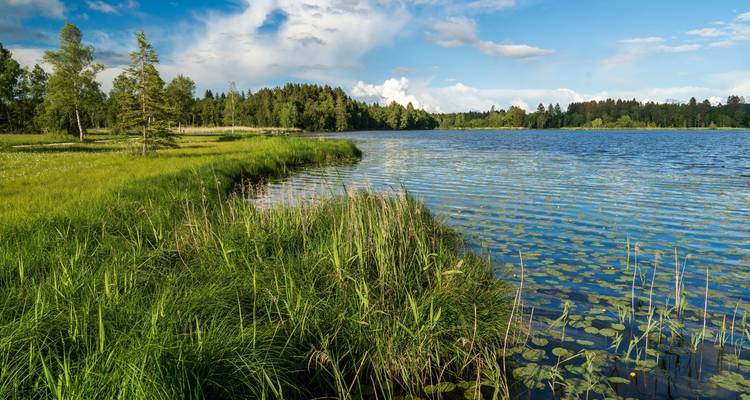Scenic view of a lake with trees and expansive sky.