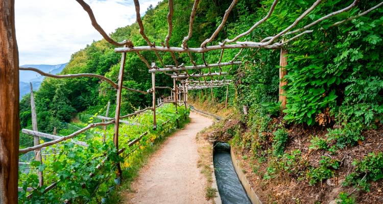 Un sentier bordé de supports en bois et de verdure.