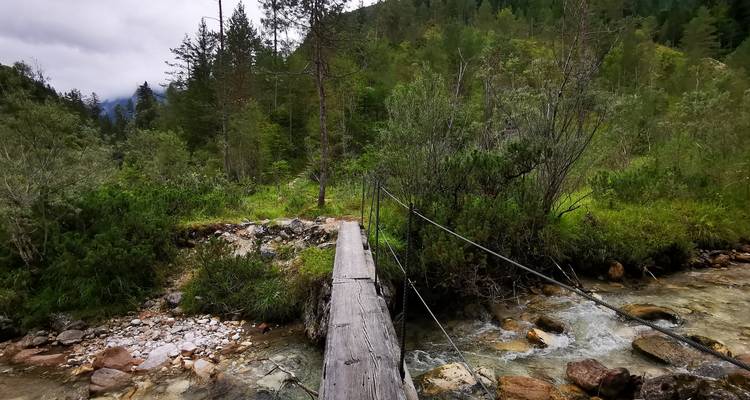 Passerelle en bois au-dessus d'un petit ruisseau dans une forêt.