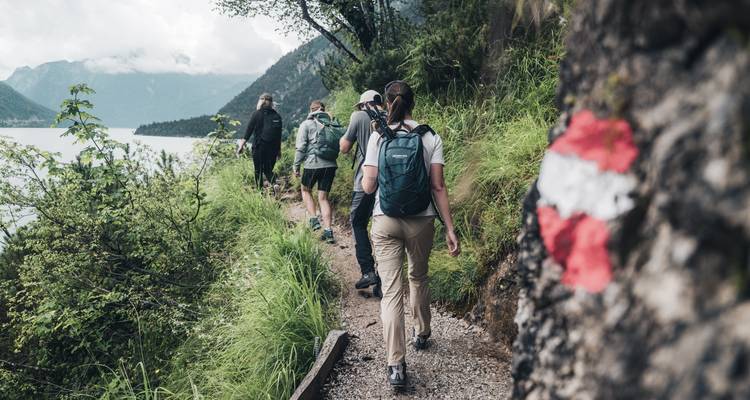 Des randonneurs marchant le long d'un sentier avec une vue panoramique sur un lac.