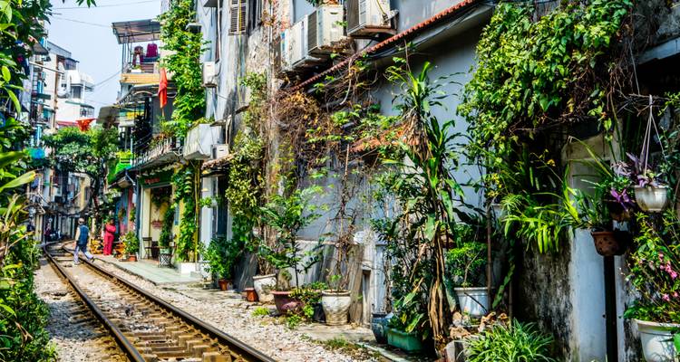 Eisenbahn, die durch eine schmale Straße mit Grünzeug führt.
