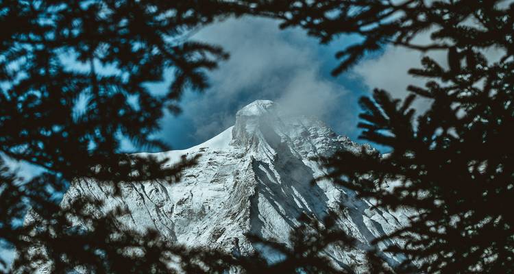Besneeuwde bergtop omlijst door takken van bomen.