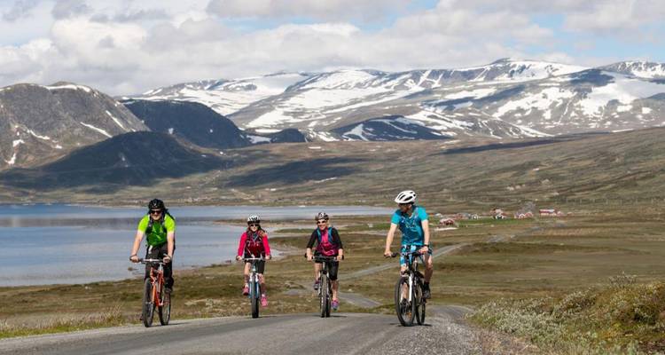 Groupe de cyclistes roulant le long d'une route de montagne pittoresque.