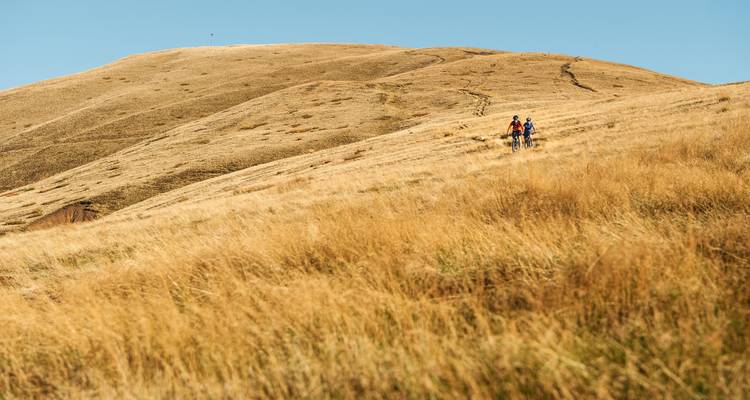 Hikers traversing a golden hillside trail.