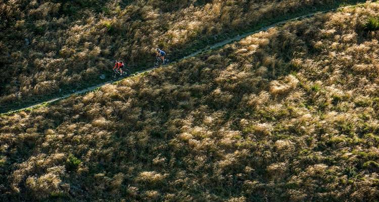 Bikers on a winding trail through tall grass.