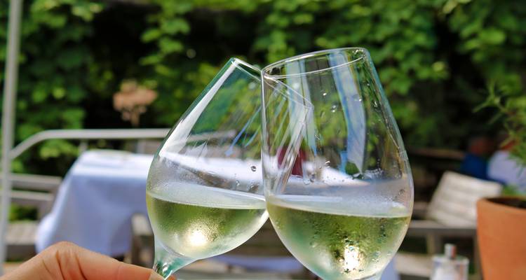 Zwei Weingläser, die in einer Gartenumgebung anstoßen.