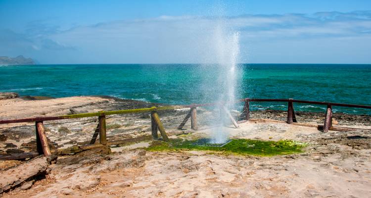 A blowhole with water sprouting into the air by the sea.
