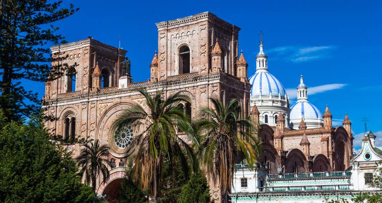 Cathédrale avec des détails architecturaux impressionnants et des dômes.