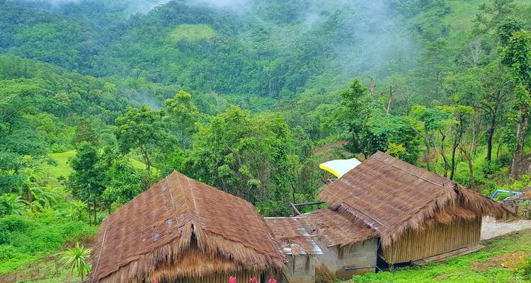 Traditionelle Hütten in einer üppigen, nebligen Landschaft.