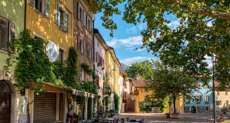 Charmantes maisons colorées sur une rue pittoresque bordée d'arbres.