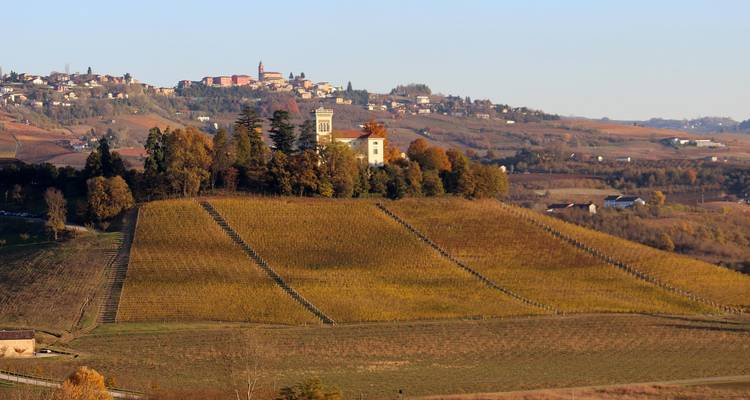 Collines ondulantes avec vignobles et ville au loin.