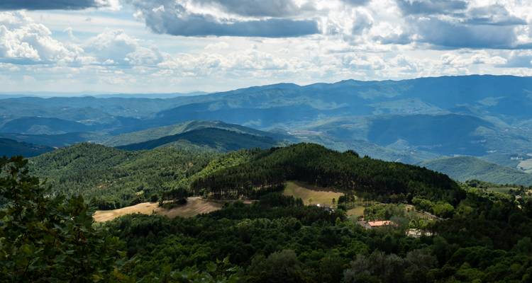 Mountainous landscape with dense forests and scattered clouds.